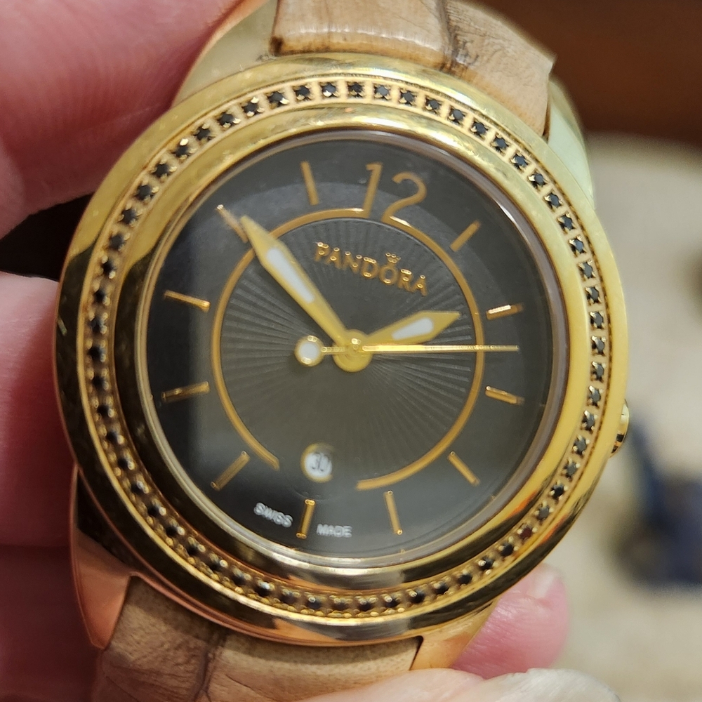 Pandora Imagine Black Crown Watch